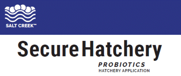 Secure Hatchery for web